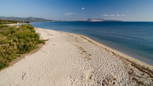 Residence San Teodoro 1 - Spiaggia Cala D'ambra 3